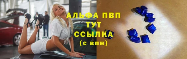 прущие грибы Сясьстрой