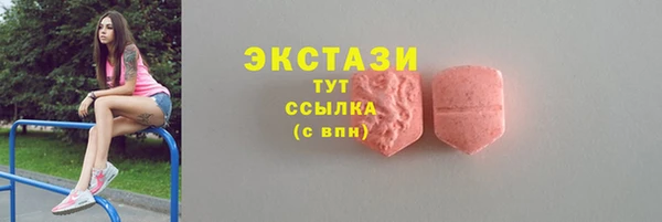 стаф Вязьма