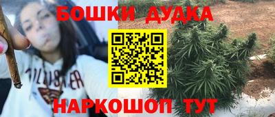 прущий лед Будённовск