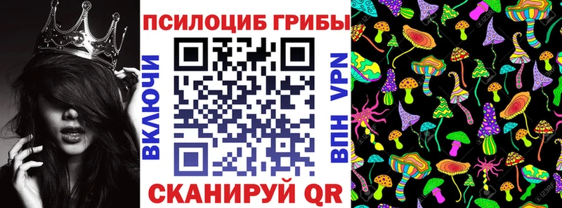 Галлюциногенные грибы GOLDEN TEACHER  Горно-Алтайск 