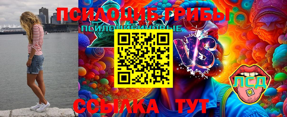 Псилоцибиновые грибы мухоморы Горно-Алтайск