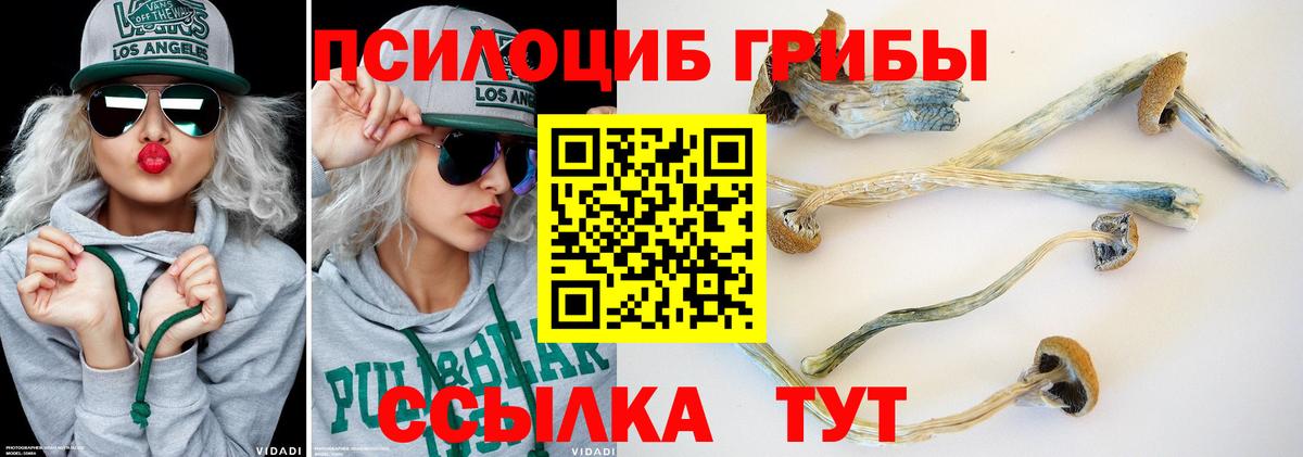 Псилоцибиновые грибы мухоморы  Горно-Алтайск  Псилоцибиновые грибы мухоморы 