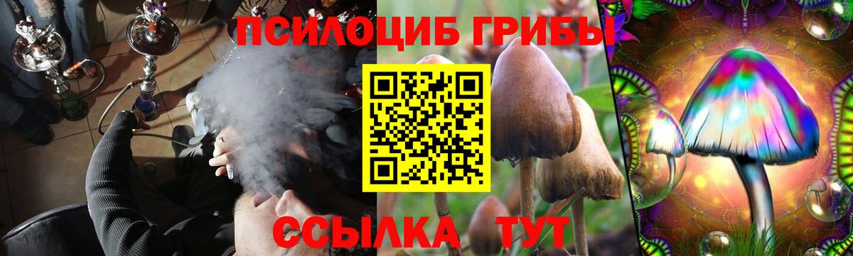 Горно-Алтайск  Галлюциногенные грибы Cubensis  Вход с VPN 